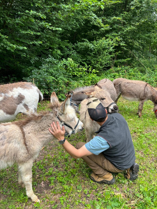 Kuscheln mit Eseln beim Eseltrekking
